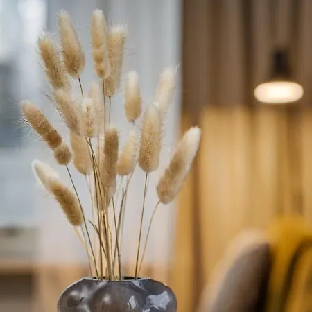 Appartement Valo Hosted By Hygge Host Rovaniemi